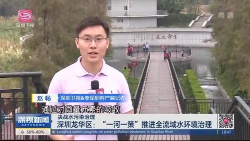 龙华大浪爆料最新消息新闻 第1张 龙华大浪爆料最新消息新闻 第1张